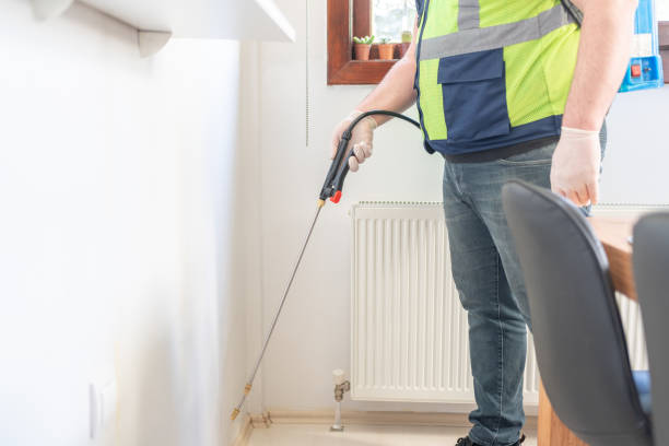 Best Mosquito Control Services  in Whetstone, AZ